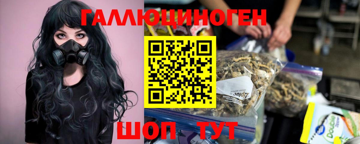 Псилоцибиновые грибы Psilocybe Балаково